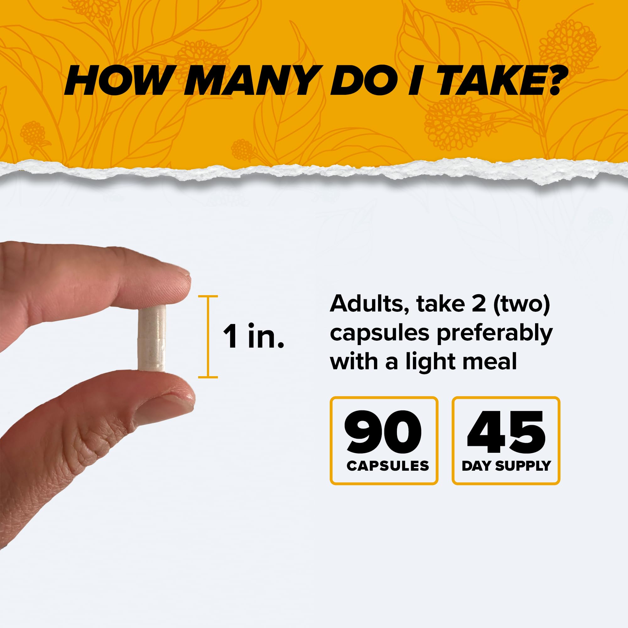 ONNIT Alpha Brain Nootropic Brain Supplement for Men & Women | Memory, Mental Clarity & Cognitive Improvement | Focus Capsules with L-Theanine, Vitamin B6 & Phosphatidylserine (90 Count)