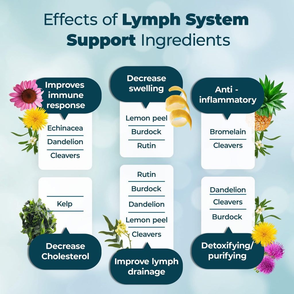PUREHEALTH RESEARCH Lymph System Support – Lymphatic Drainage Supplement for Women & Men (60 Capsules)